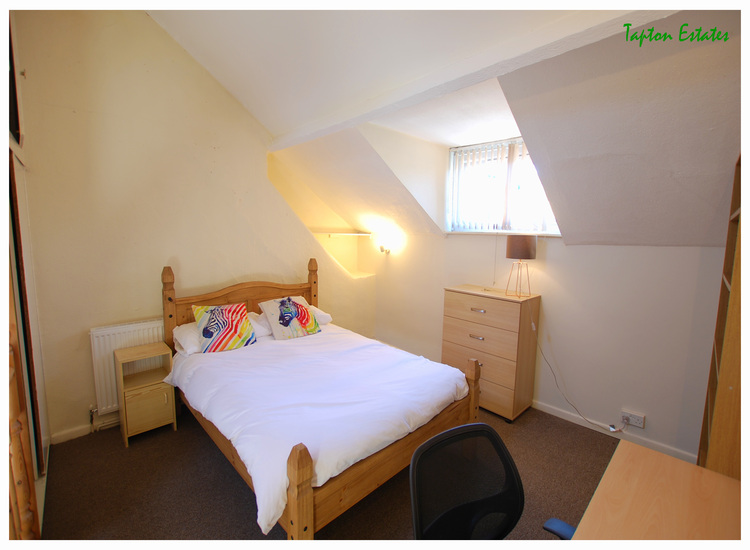 157 Whitham road,Broomhill,Sheffield S10 2SN,4 Bedrooms Bedrooms,1 BathroomBathrooms,Terraced,1171